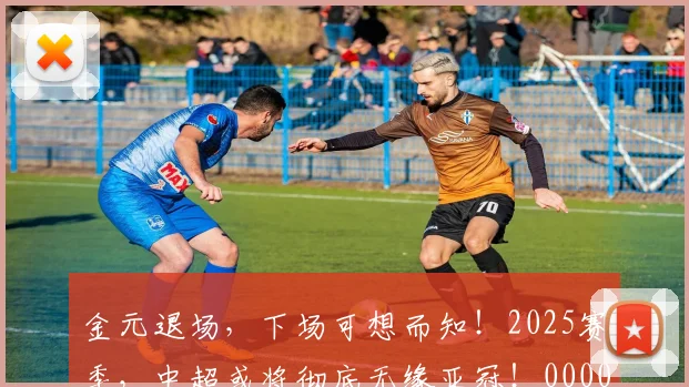 金元退场，下场可想而知！2025赛季，中超或将彻底无缘亚冠！0000644