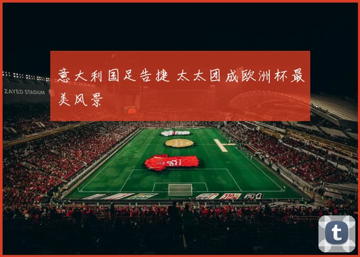 意大利国足告捷 太太团成欧洲杯最美风景