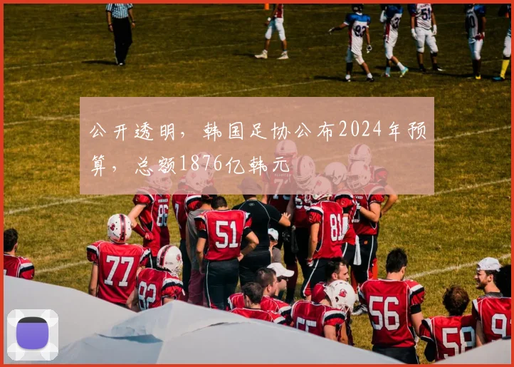 公开透明，韩国足协公布2024年预算，总额1876亿韩元