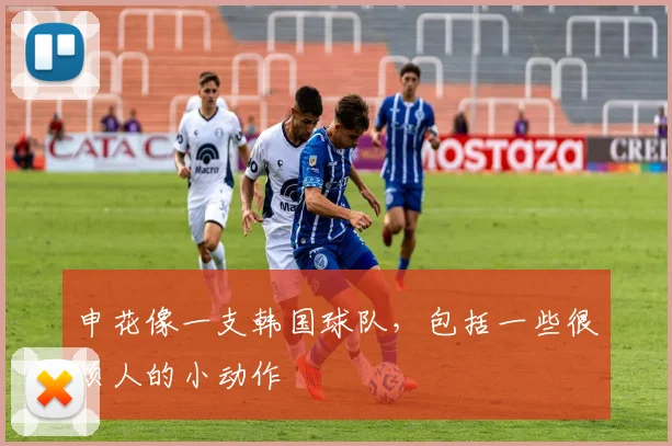 申花像一支韩国球队，包括一些很烦人的小动作